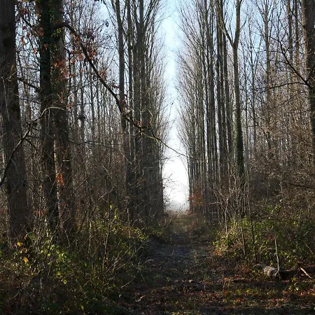 La Du Chasseur